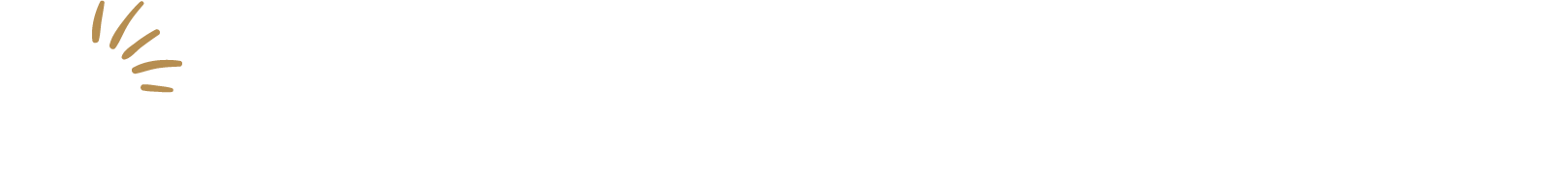 Schweitzer Spark